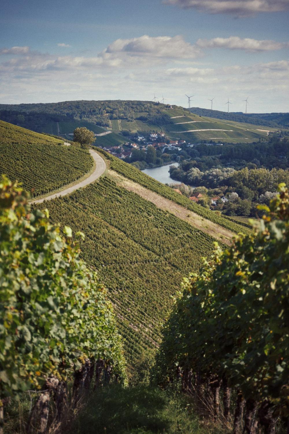 Tre fantastiska anledningar till att prova orange vin idag!